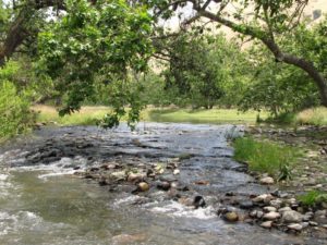 Homer Ranch