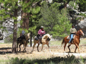 Equestrians In Kings Canyon N.P.