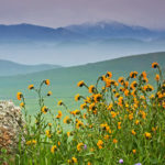 LEWIS HILL PRESERVE
