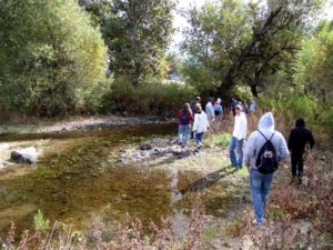 Hiking Along The Creek
