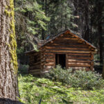 SQUATTERS CABIN