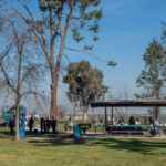 WOODVILLE PARK
